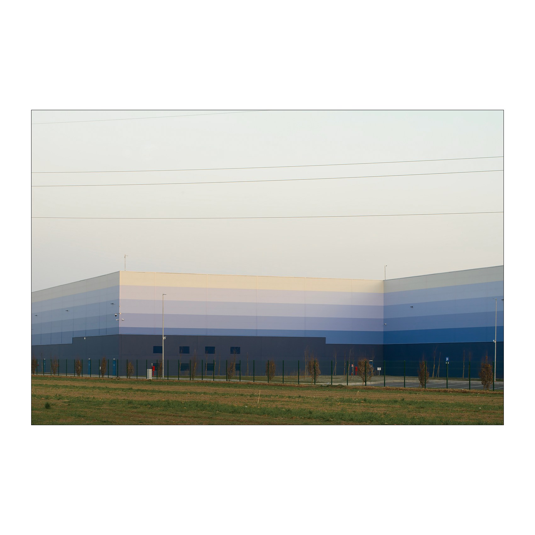 wmed relative|center