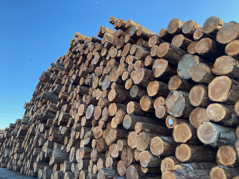 wmed relative|center