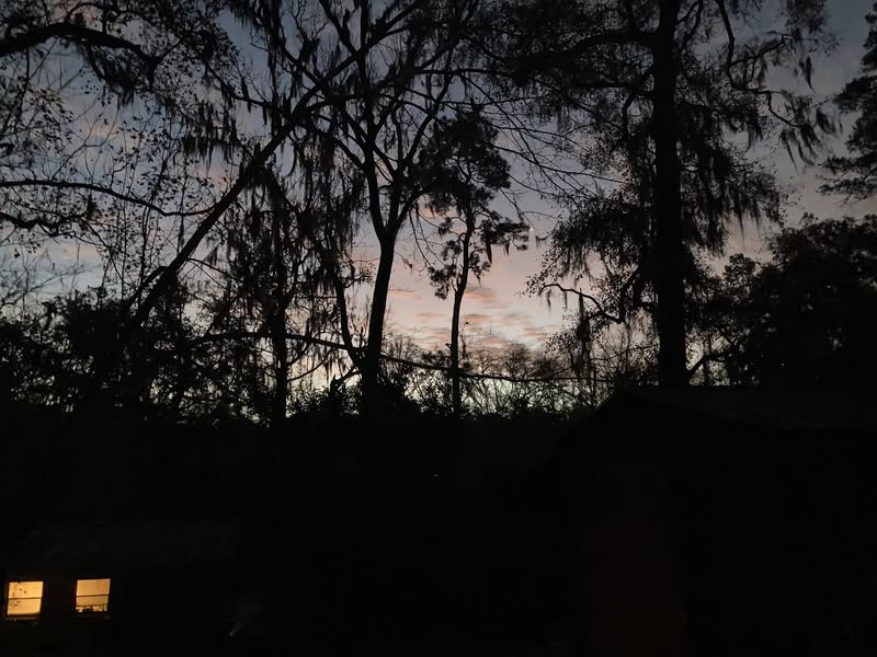 wmed relative|center