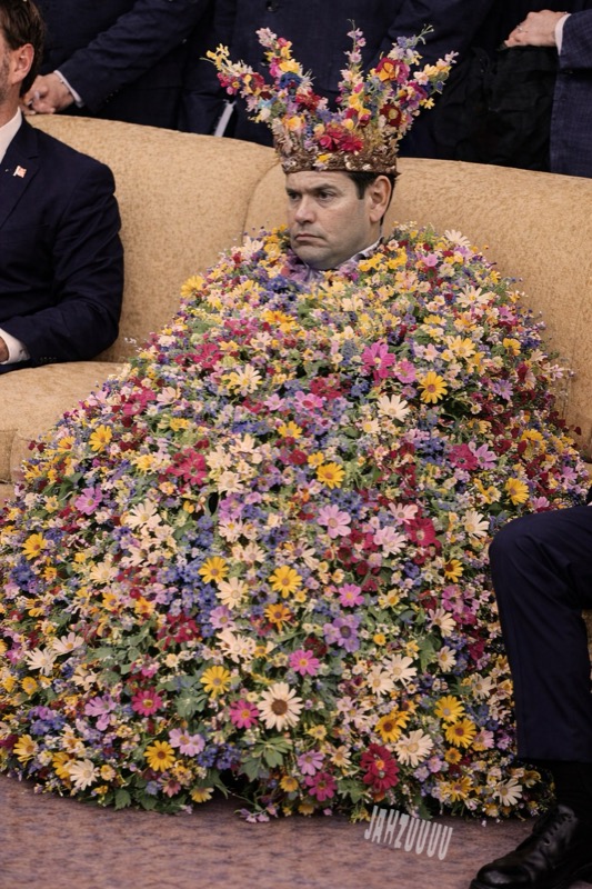 wmed relative|center